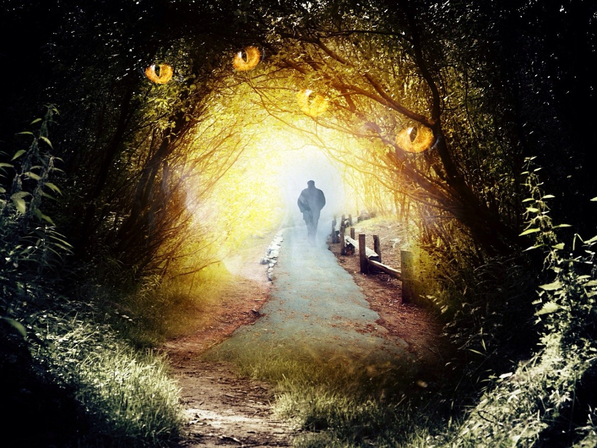 Finding your life path
