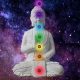 The Chakras and the Life Force