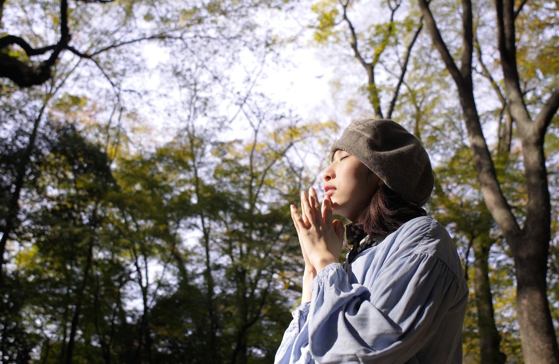 Getting Wishes and Manifestations